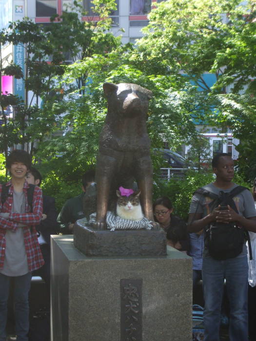 Statue of Hachikō at Shibuya Station.
