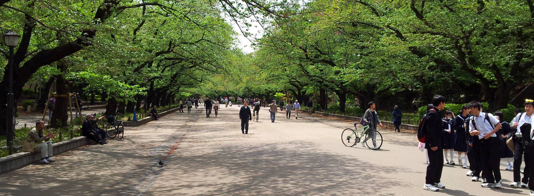 People enjoying Ueno Park on a sunny spring day