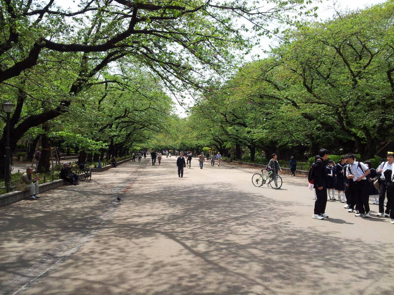 People are enjoying a pleasant spring day at Ueno Park