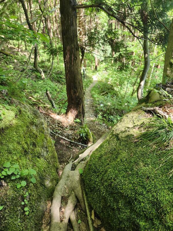 Path continuing from the Shugendō training ground.