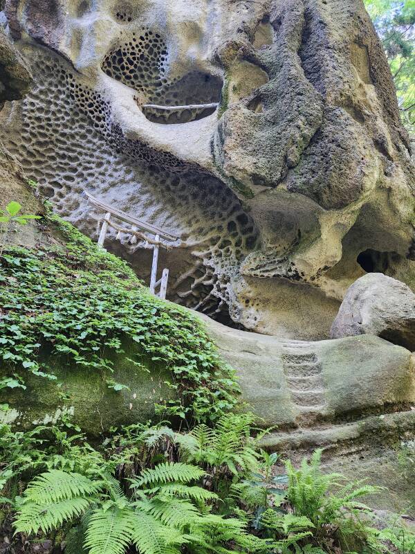 Furumine Shrine at Tarumizu.