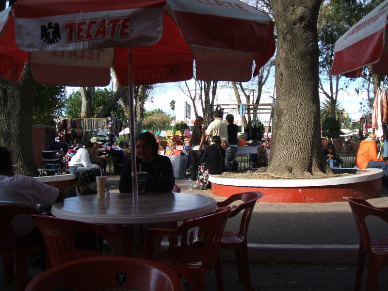 Mariachis performing on the zócalo in Tecate.