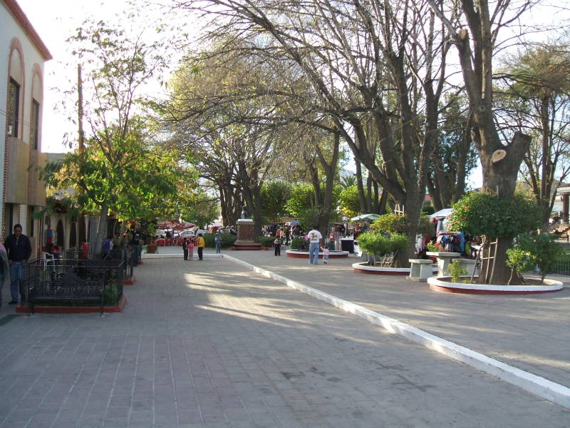 Zócalo or shaded park, Parque Hidalgo, at the center of Tecate.