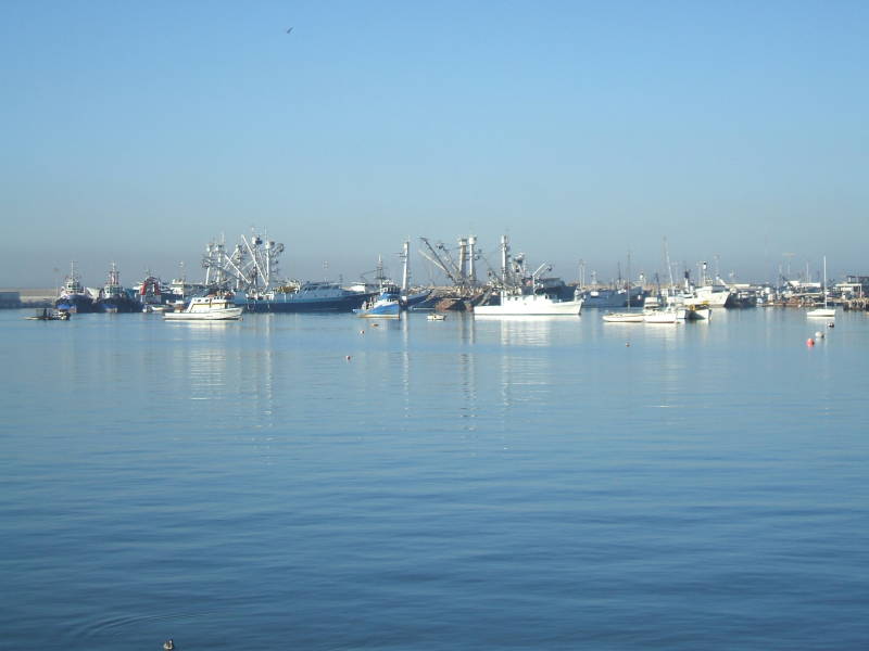Fishing ships in Ensenada harbor.