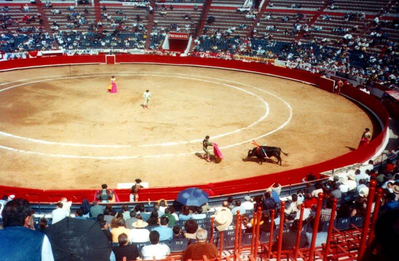 Bull fighting at the corrida in Mexico City.  The bull has been stuck with lances, and is about to charge the matador with his cape.