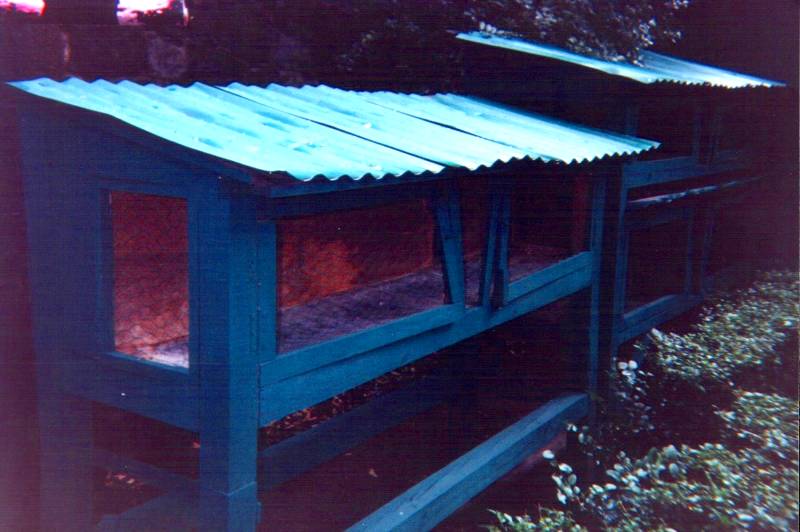 Leon Trotsky's rabbit hutches