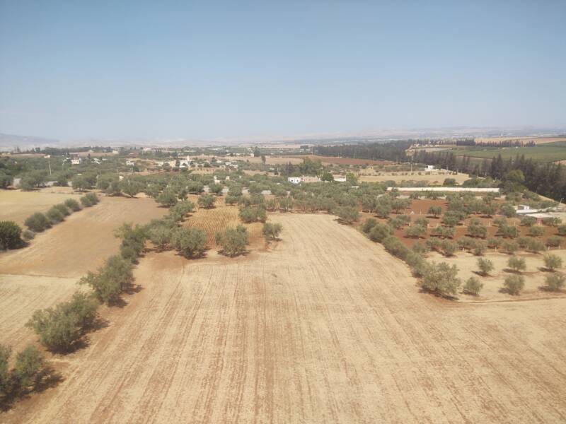 Orchards and farm fields seen from a train from Meknès to Fez in Morocco.