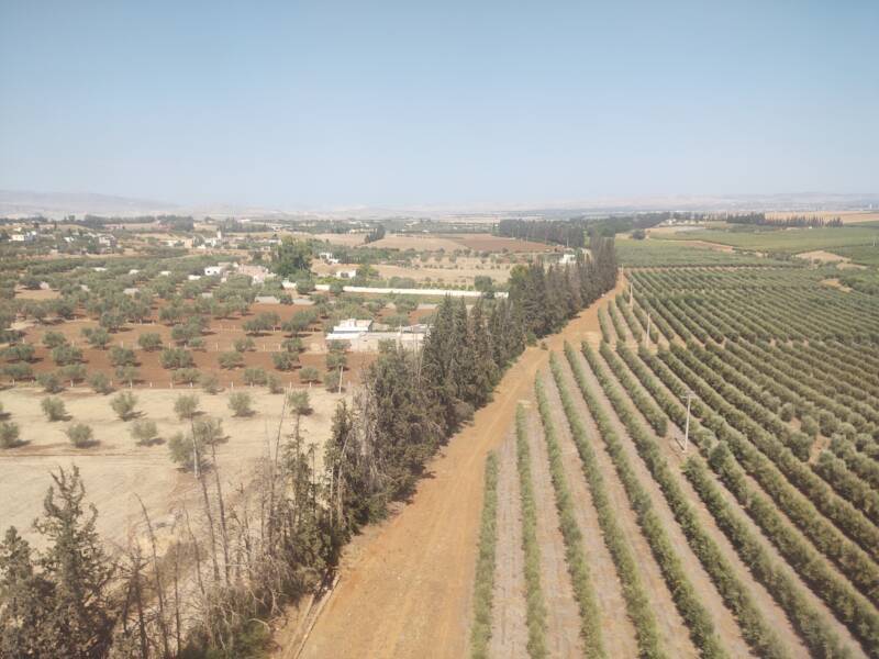 Orchards and farm fields seen from a train from Meknès to Fez in Morocco.