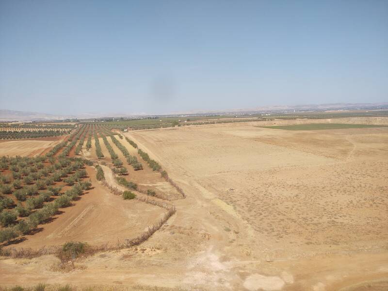 Orchards and farm fields seen from a train from Meknès to Fez in Morocco.