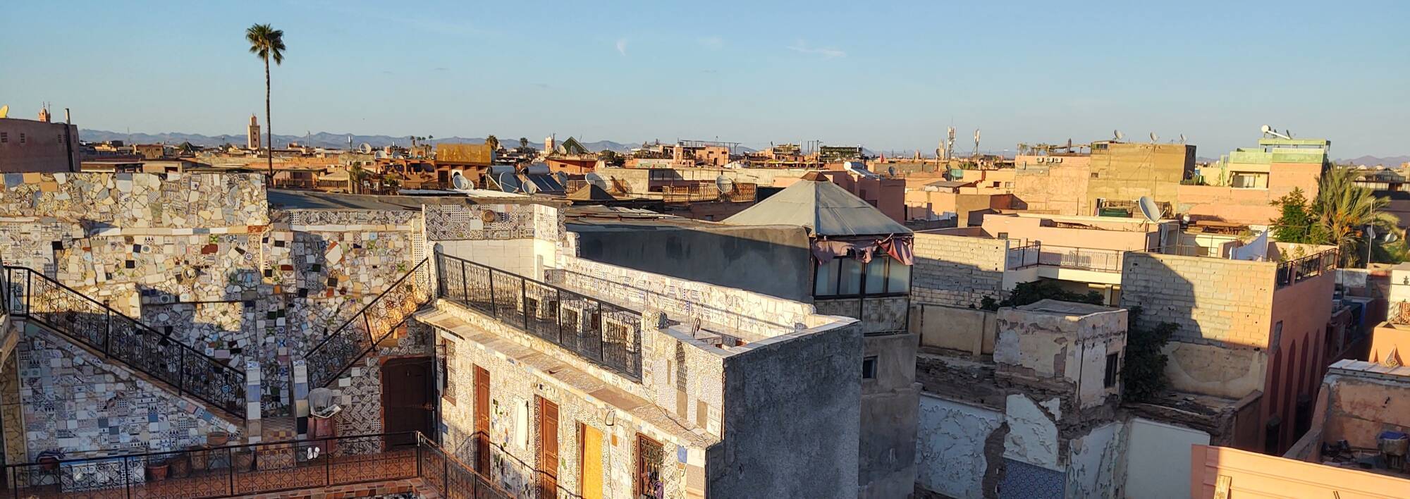 View across the medina of Marrakech from a guesthouse rooftop. A palm tree, a few minarets, and a few cellphone and satellite TV antennas rise above the horizon.