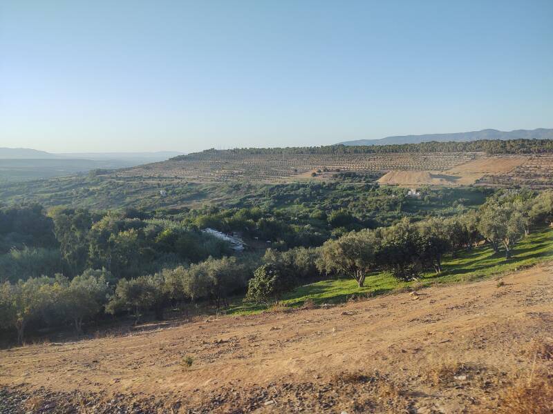 View of the Moroccan countryside from on board the train from Fez to Kénitra. By overnight train to Marrakech.