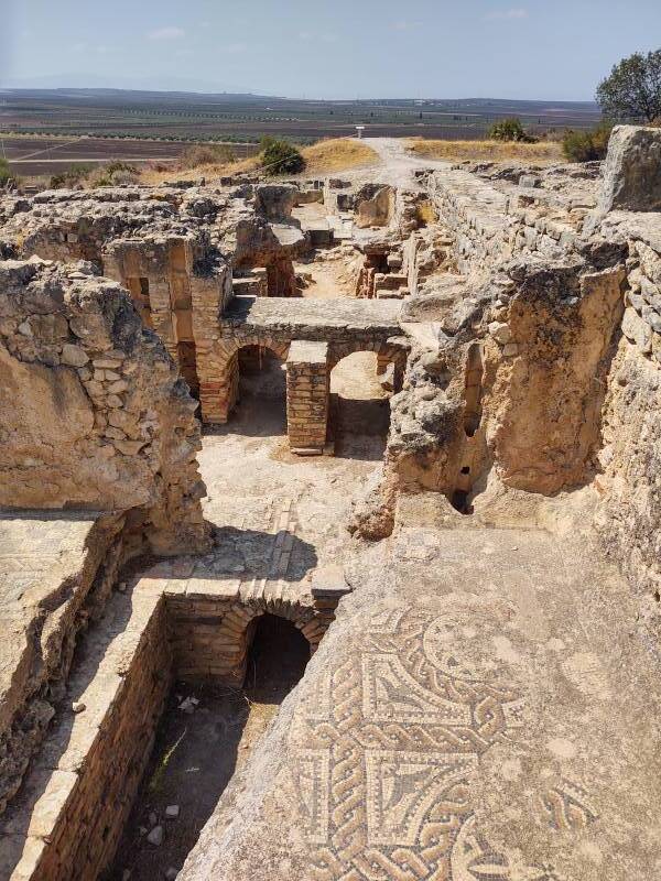 House of Orpheus at Volubilis archaeological site in Morocco.