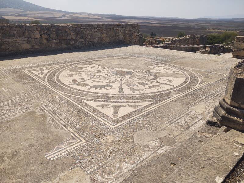 Large mosaic of animals at Volubilis archaeological site in Morocco.