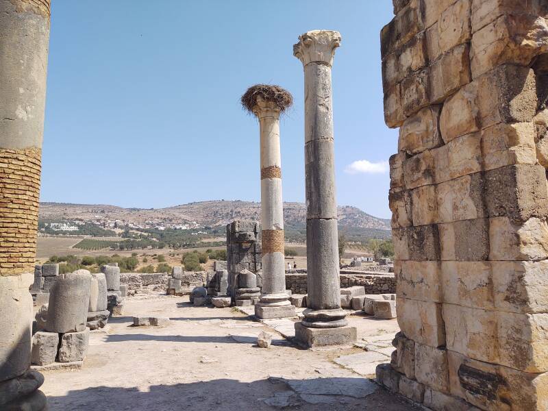 Basilica in the Volubilis archaeological site in Morocco.