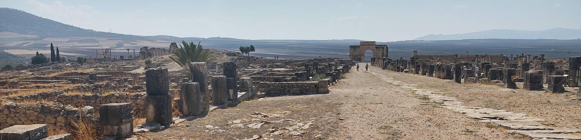 Panorama of the ancient site of Volubilis: basilica, triumphal arch, and the surrounding agricultural plain.