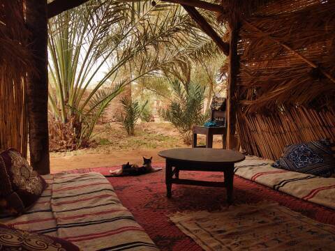Relaxing in a cool shaded tent at Auberge La Palmeraie in M'Hamid el Ghizlane.