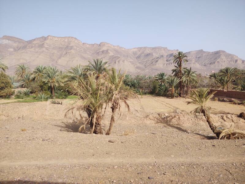 2000-foot highland above date palm oasis in the Draa Wadi north of Zagora.