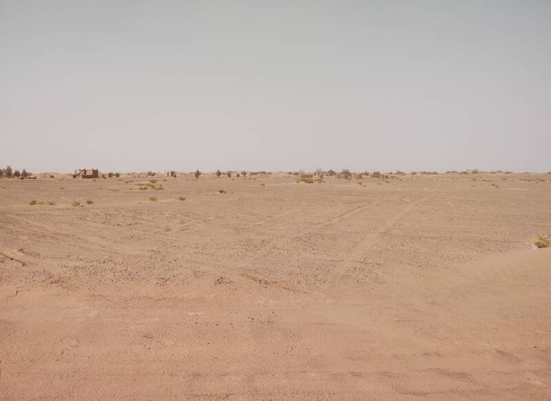 Buildings, trees, and shrubs in the desert just outside M'Hamid.