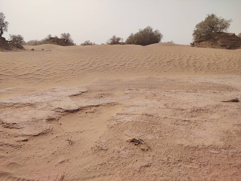 Hard crust on the surface of the sand, rippled sand beyond that.