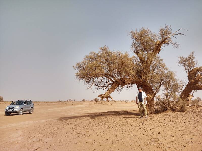 Bob next to an Acacia tree in the desert. In the background, Ibrahim's 4x4.