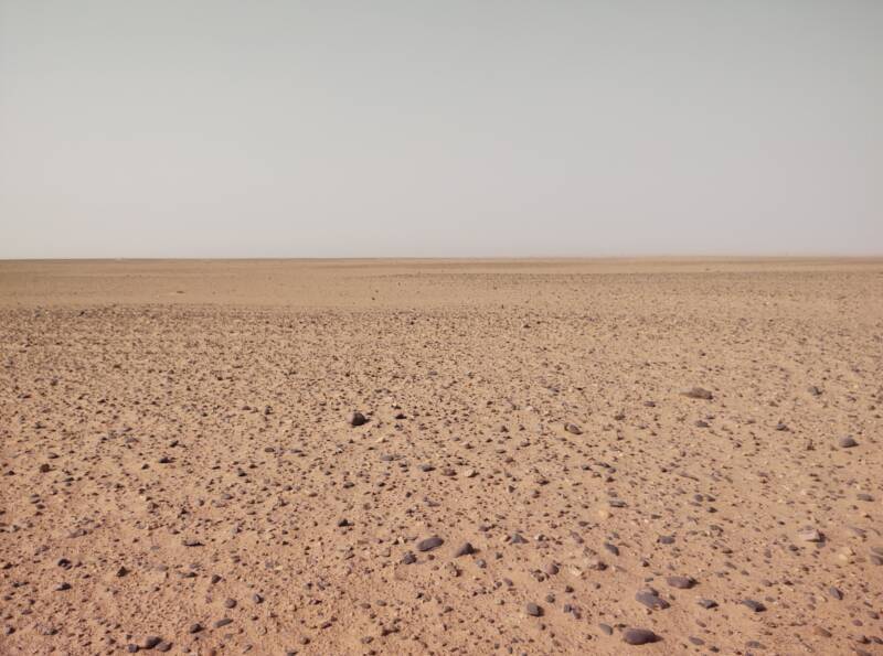 Stony desert, sand beyond, no plants visible.