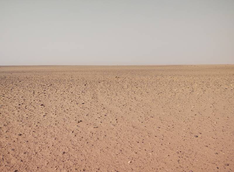 Stone and sand desert with one acacia tree on the distant horizon.