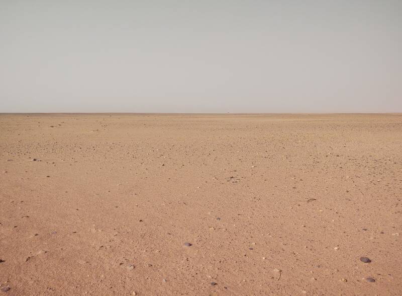 Stone and sand desert with one acacia tree on the distant horizon.