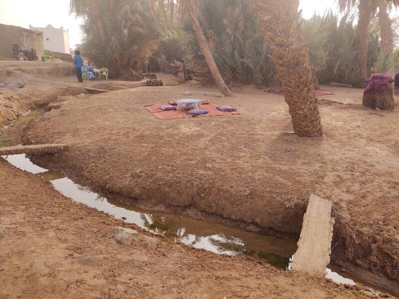 Resting at the Oum Lâalag oasis in the desert on the way to Erg Chigaga.