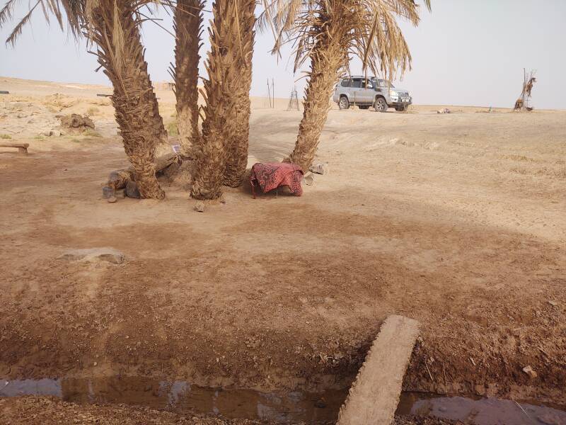 Oum Lâalag oasis in the desert on the way to Erg Chigaga.