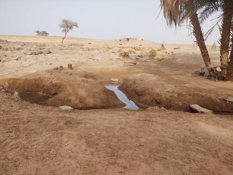 Oum Lâalag oasis in the desert on the way to Erg Chigaga.