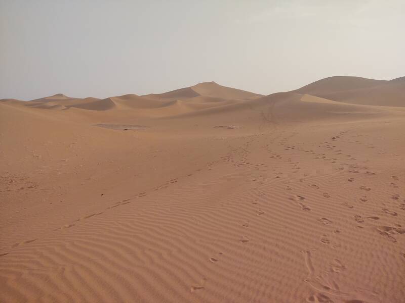 100-meter-high sand dunes at Erg Chigaga.