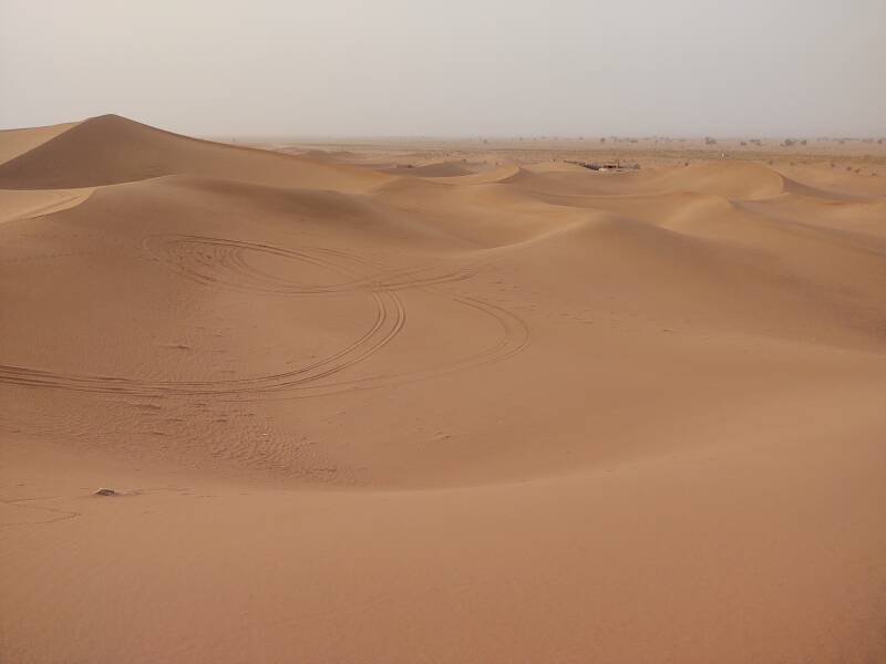 Dunes with off-road vehicle tracks. In the distance, camp at the edge of Erg Chigaga, some acacia trees beyond that.
