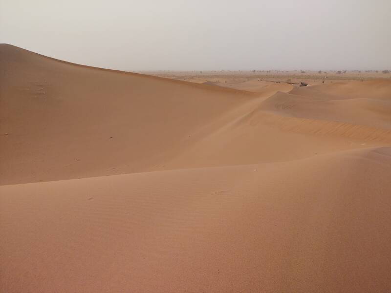 Steep dunes. In the distance, camp at the edge of Erg Chigaga, some acacia trees beyond that.