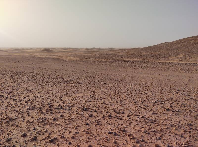 Stony desert east of Erg Chigaga.