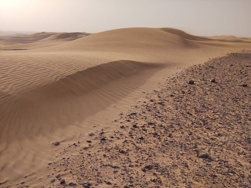 Ripples on small dunes east of Erg Chigaga.