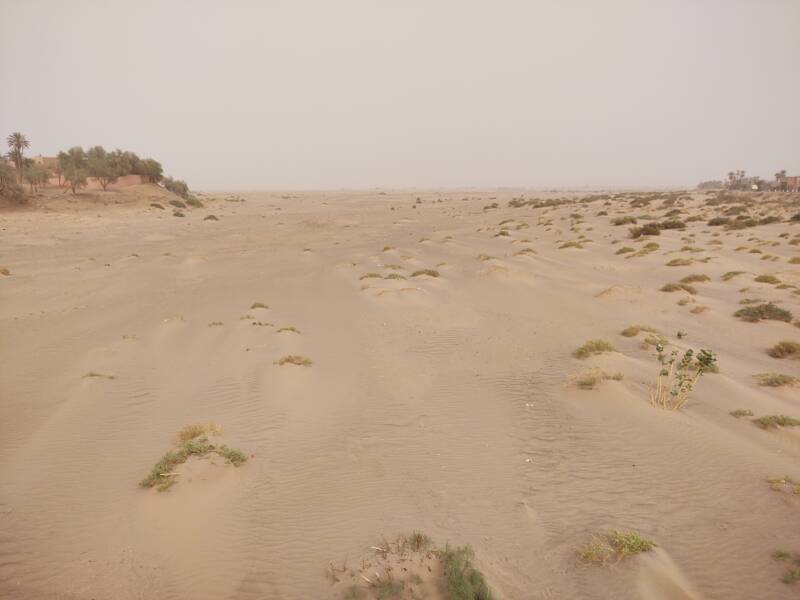 Draa wadi at M'Hamid el Ghizlane.