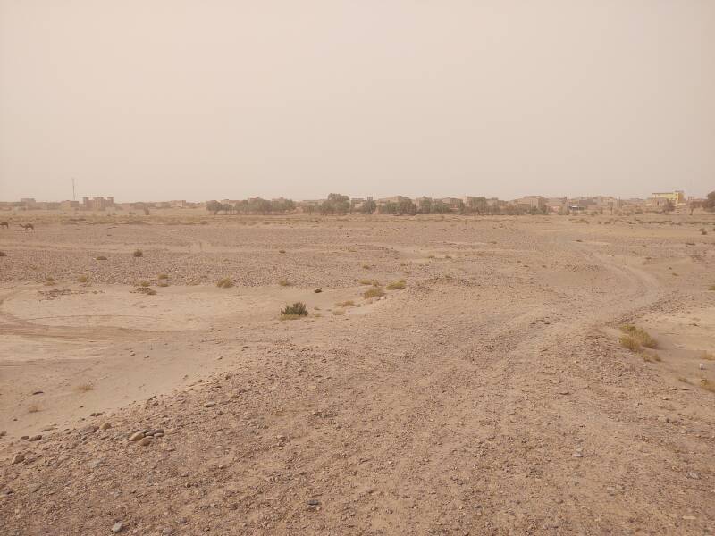 Looking across the Draa wadi to the center of M'Hamid el Ghizlane.
