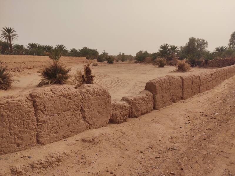 Date palms along a small wadi in M'Hamid el Ghizlane.