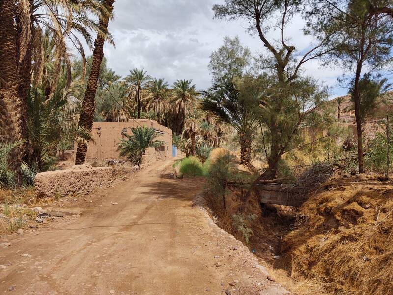 Irrigated date palms and vegetables in Zagora, Morocco.