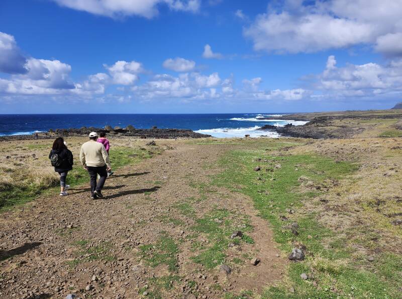 South coast of Rapa Nui.