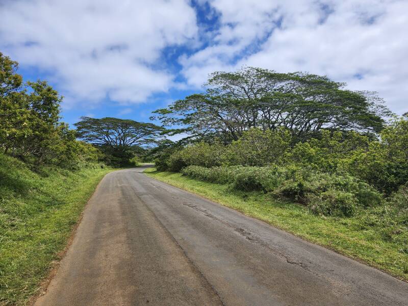 Road up Rano Kau.