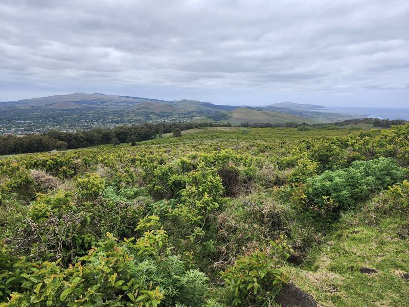 View over Haŋa Roa and the south coast with Poike at the other end of the island in the distance.