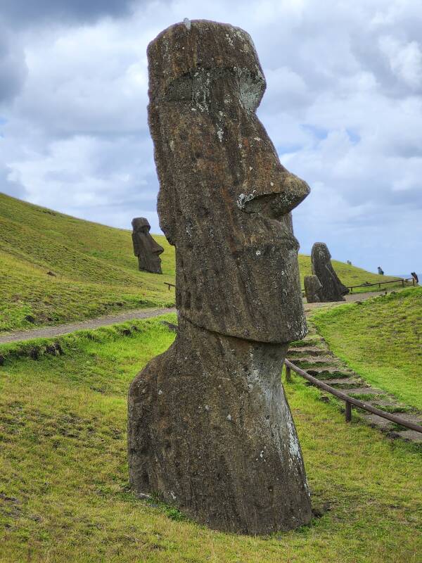 1 of 6 views of a maoi.