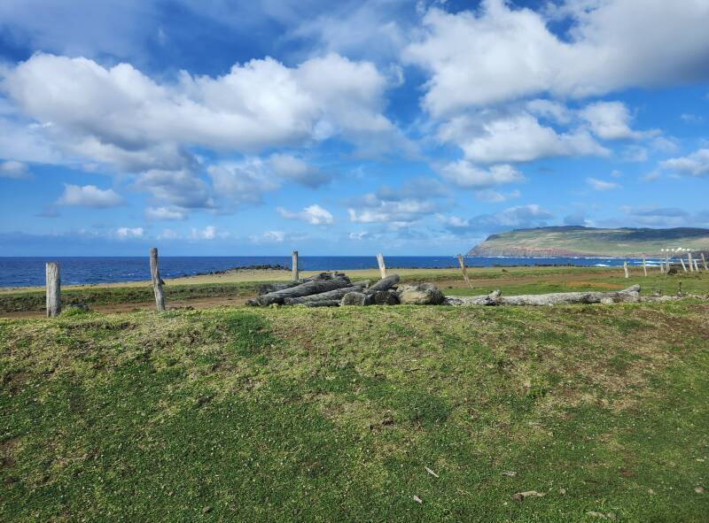 Vaihū, tanks at south end of runway visible in the distance.