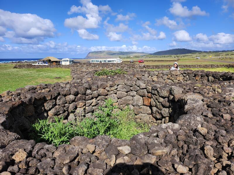 Manavai stone agricultural structure.