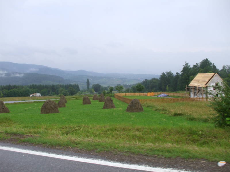 Haystacks along the road in Bucovina in northern Romania.