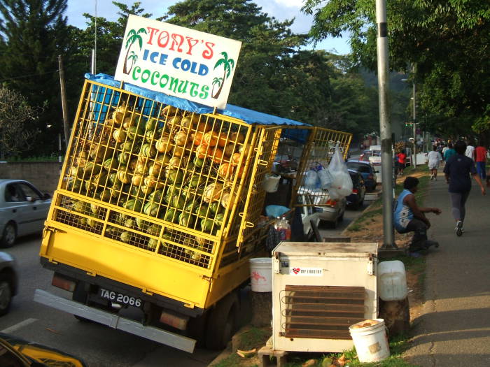 Coconut vendors in Trinidad.  A man is selling green coconuts of a bright yellow truck that looks like it is about to tip over.  His sign says 'Tony's Ice Cold Coconuts'.