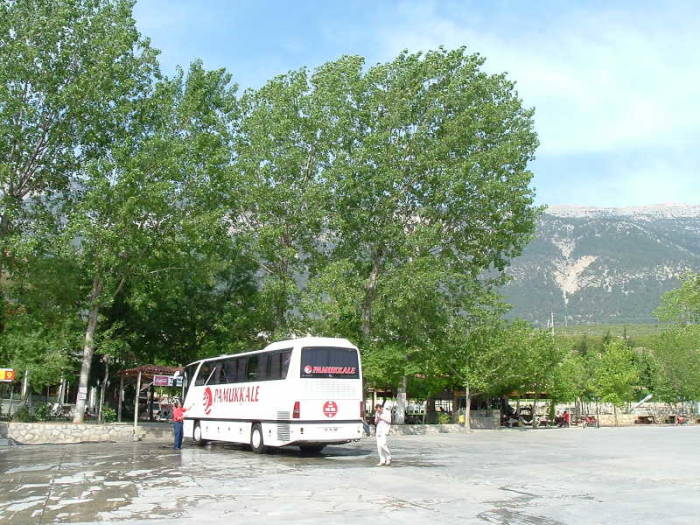 Turkish bus attendants, yardimcilar.