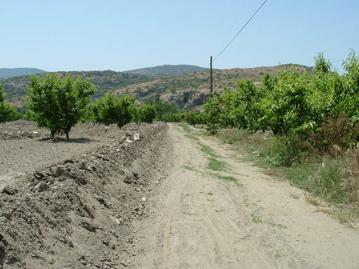 Path through farm fields between Selçuk and Ephesus