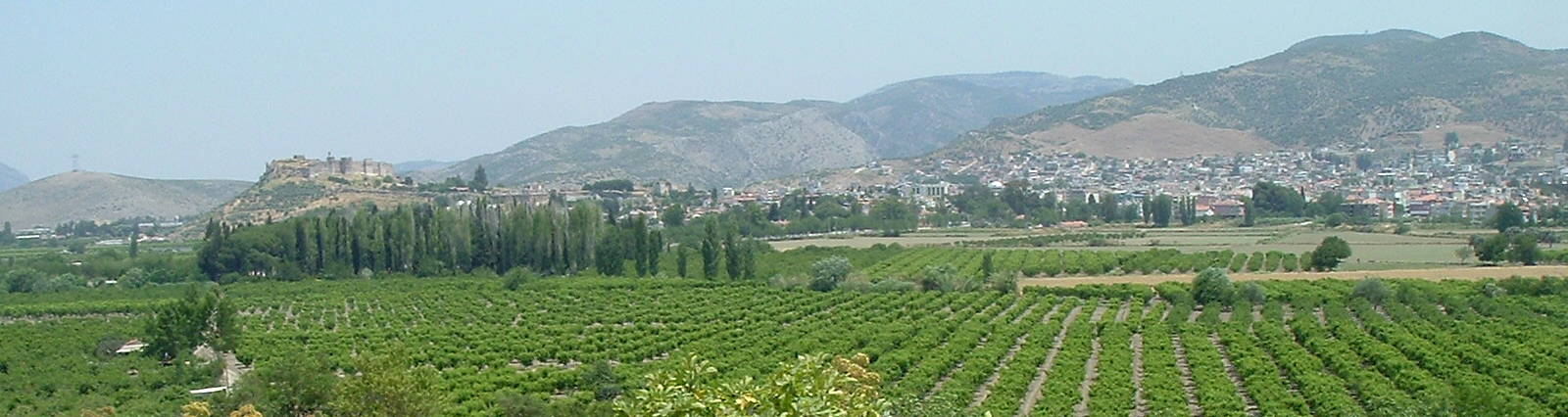 Selçuk as seen from near Ephesus.